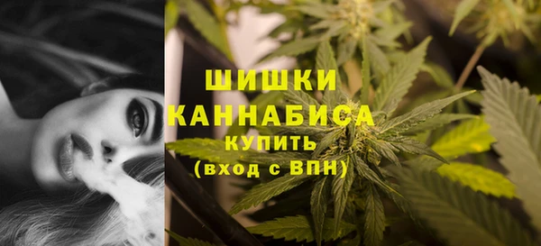 хмурый Гусев