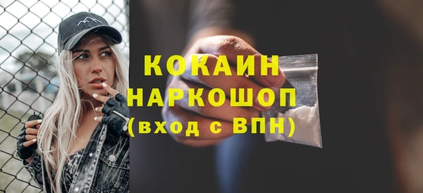 хмурый Гусев