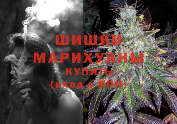 хмурый Гусев