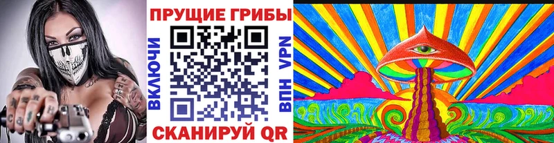Галлюциногенные грибы мухоморы  Купить  Любим 
